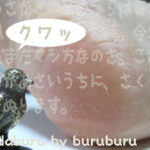 カサカサかかと